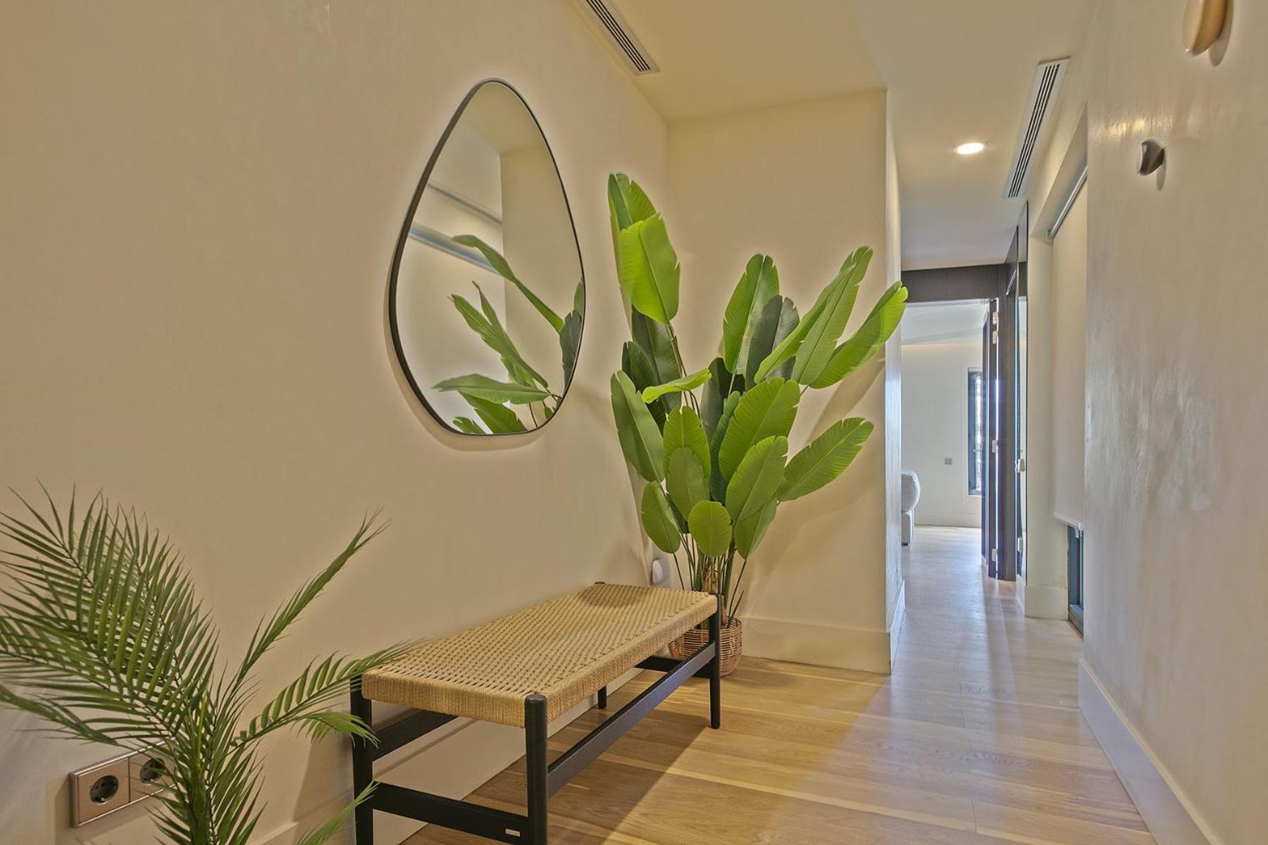 Ola Living Paseo De Gracia Lägenhet Barcelona Exteriör bild
